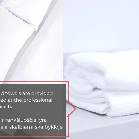 Cohost I Garage Parking Included, Spacious, Lovely W-balcony At Paupys Apartment Vilnius