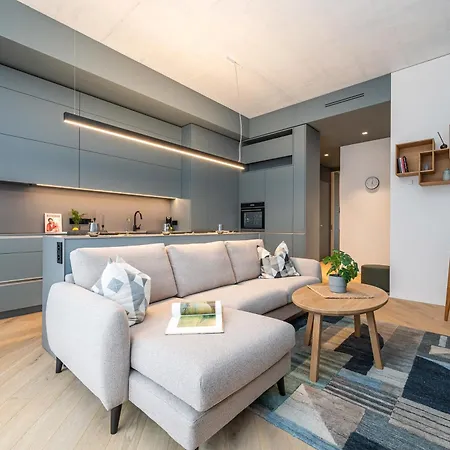 Cohost I Garage Parking Included, Spacious, Lovely W-balcony At Paupys Apartamento Vilna